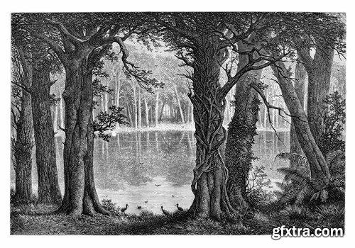 Vintage engraved illustration images,25 x UHQ JPEG