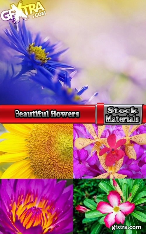 Collection of beautiful flowers #2-5 UHQ Jpeg