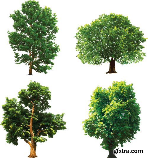 Vector Trees Collection - 25x EPS