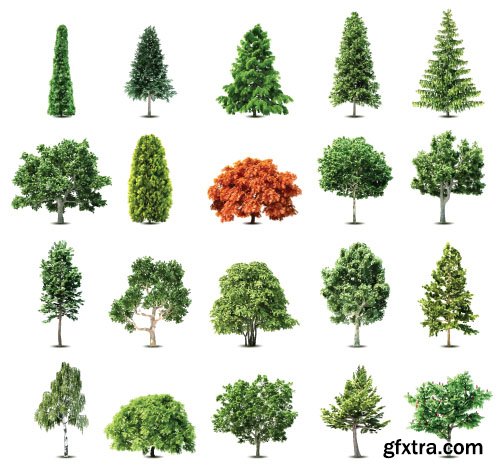 Vector Trees Collection - 25x EPS