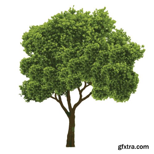 Vector Trees Collection - 25x EPS