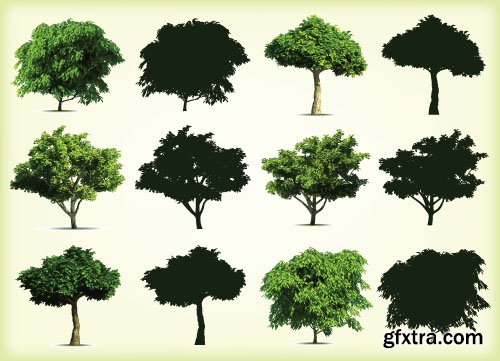 Vector Trees Collection - 25x EPS