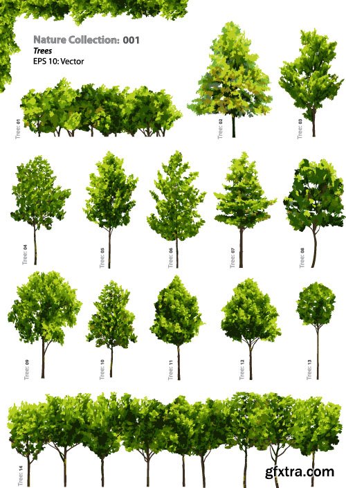 Vector Trees Collection - 25x EPS