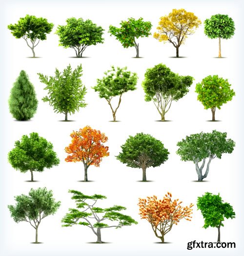 Vector Trees Collection - 25x EPS