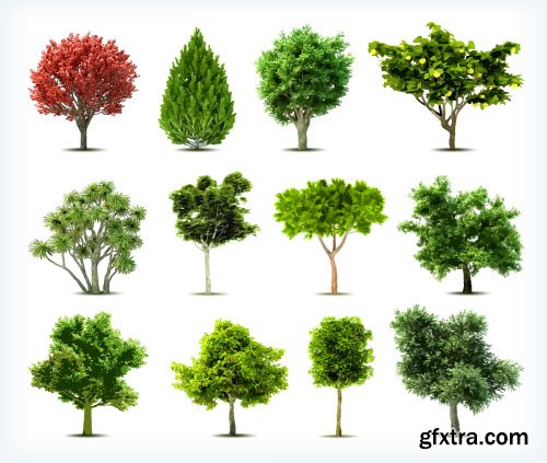 Vector Trees Collection - 25x EPS