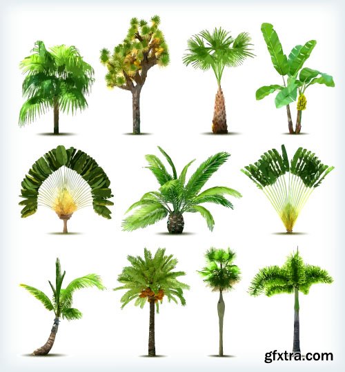 Vector Trees Collection - 25x EPS