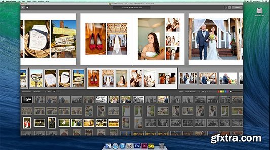 Smart Albums 1.1.8 Mac OS X