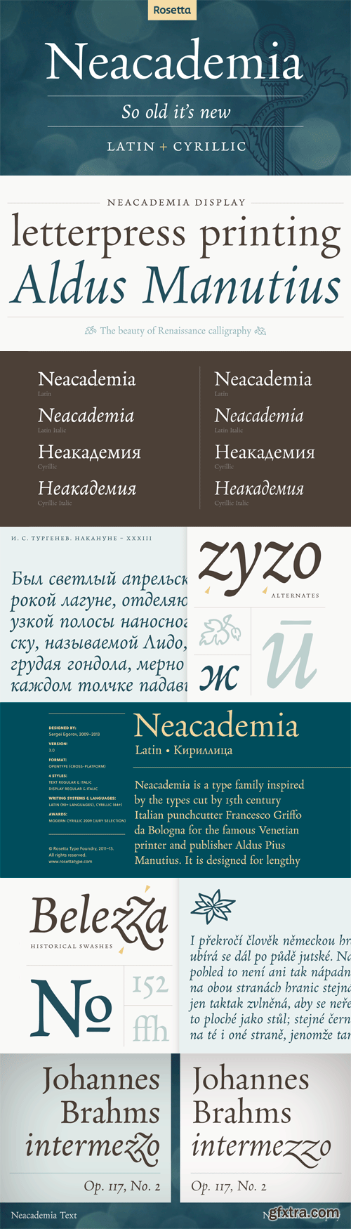 Neacademia Font Family - 4 Fonts for $213