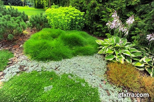 New Landscaping 25 UHQ Jpeg