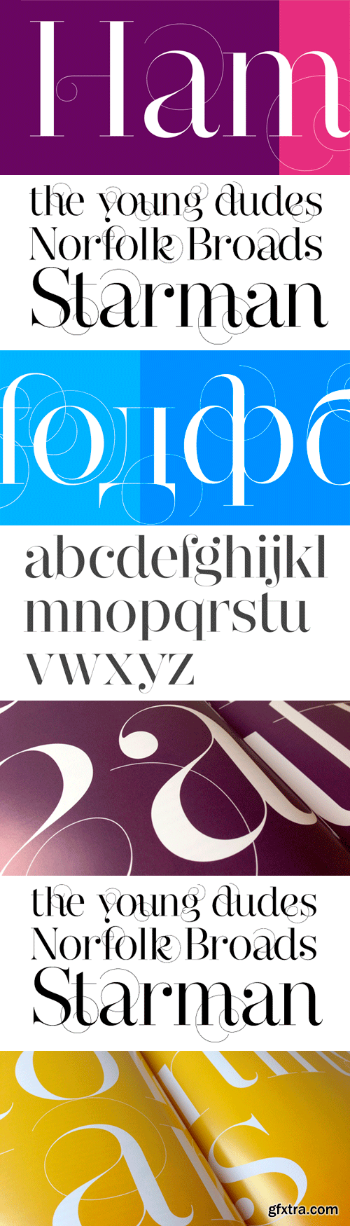 Narziss Pro Cyrillic Font Family - 21 Fonts for $1258