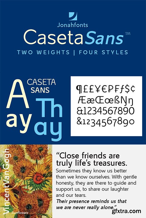 Casete Font Family - 12 Font $420