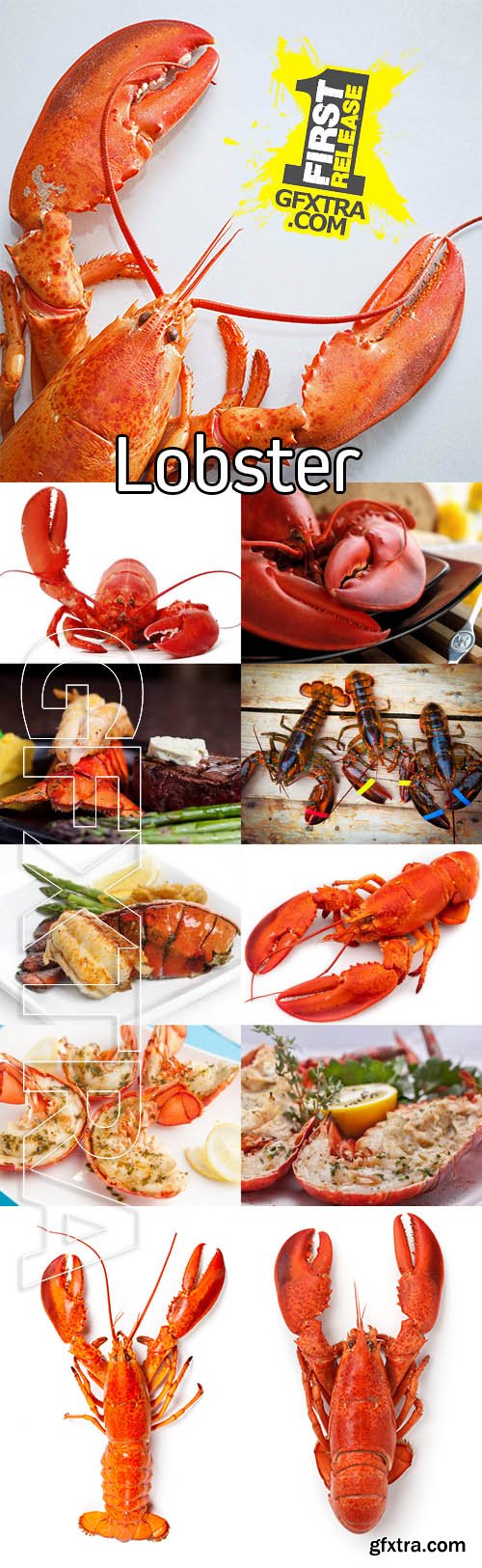 Stock Photos - Lobster