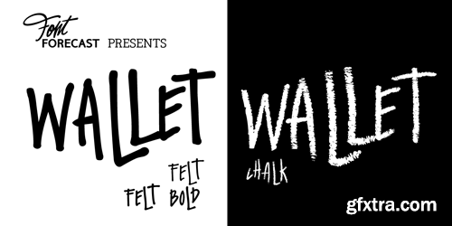 Wallet Font Family - 3 Fonts for $45