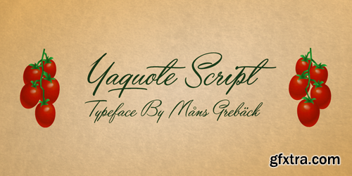 Yaquote Script Font for $59