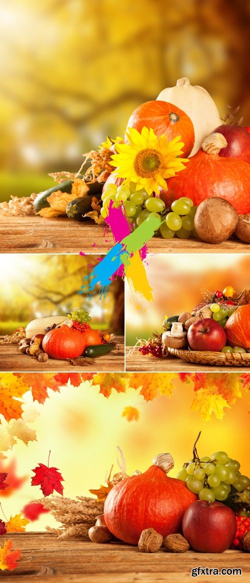 Stock Photo - Autumn 2014 Nature Cards