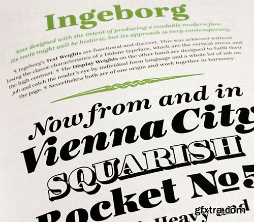 Ingeborg Font Family - 9 Fonts $785