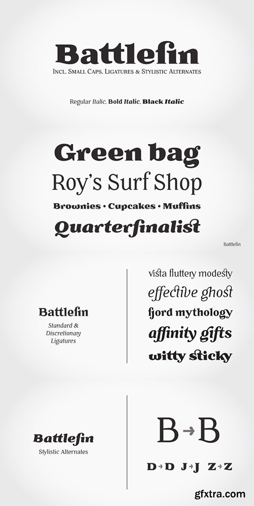 Battlefin Font Family - 6 Fonts $240