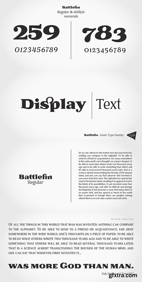 Battlefin Font Family - 6 Fonts $240