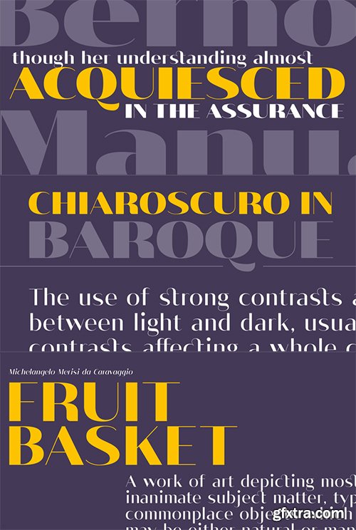 Vage Font Family - 10 Fonts $80