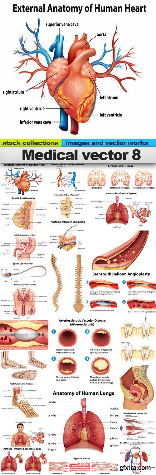 Medical vector 8,&nbsp;25 x EPS