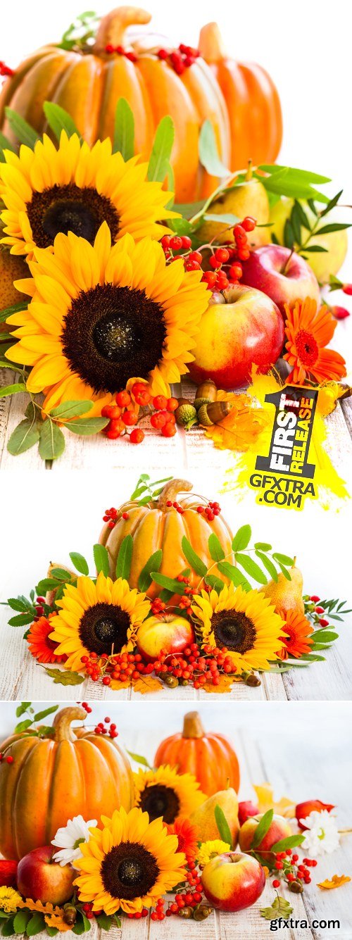 Stock Photo - Autumn Pumkin & Sunflowers