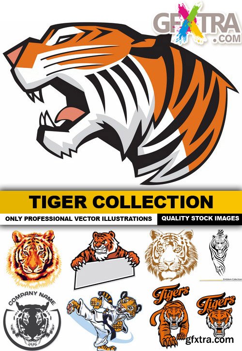 Tiger Collection - 25 Vector