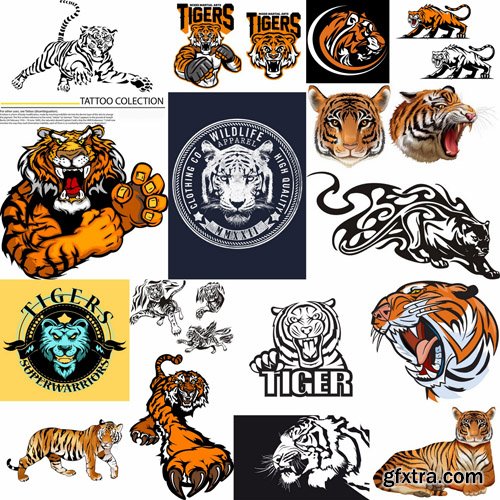 Tiger Collection - 25 Vector