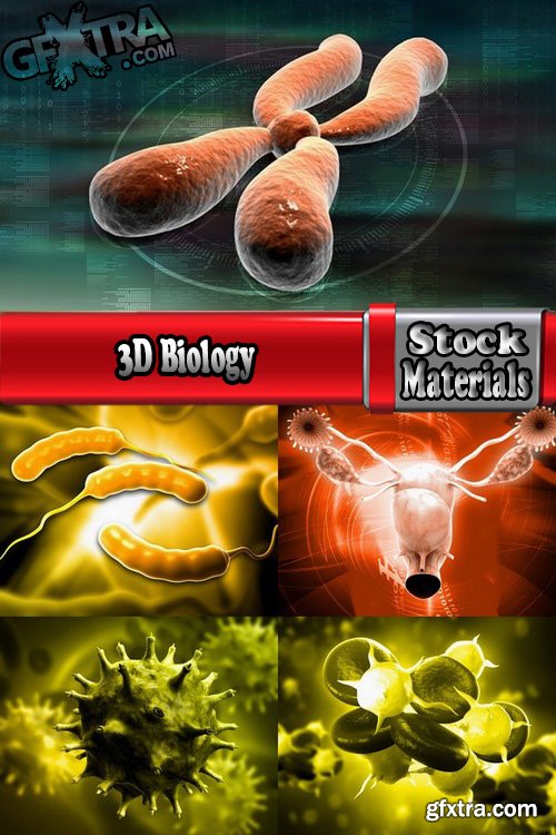 3D Biology 5