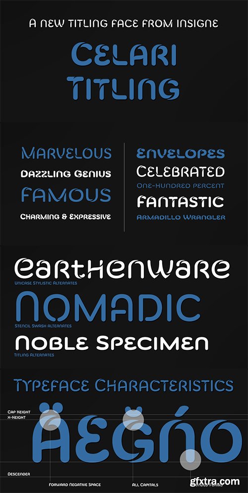 Celari Titling Font Family - 12 Font $240