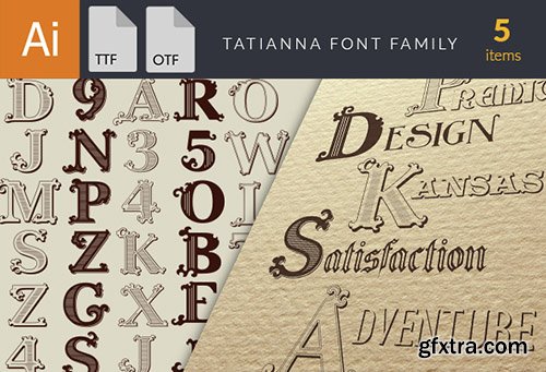 Designtnt - 17 Premium Fonts worth $125