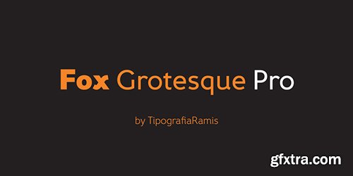 Fox Grotesque Pro Font Family - 10 Fonts $195