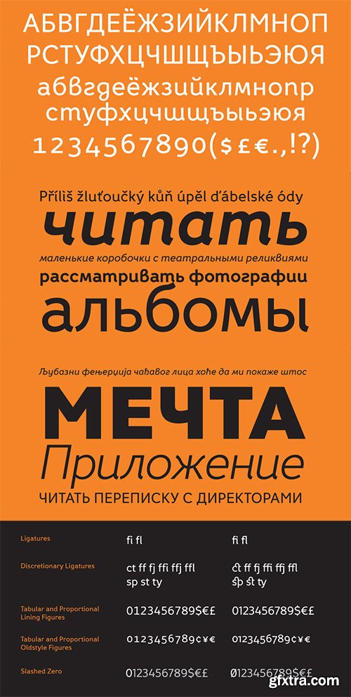 Fox Grotesque Pro Font Family - 10 Fonts $195