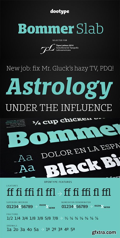 Bommer Slab and Bommer Slab Rounded Font Family - 28 Font $420