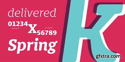 Bommer Slab and Bommer Slab Rounded Font Family - 28 Font $420