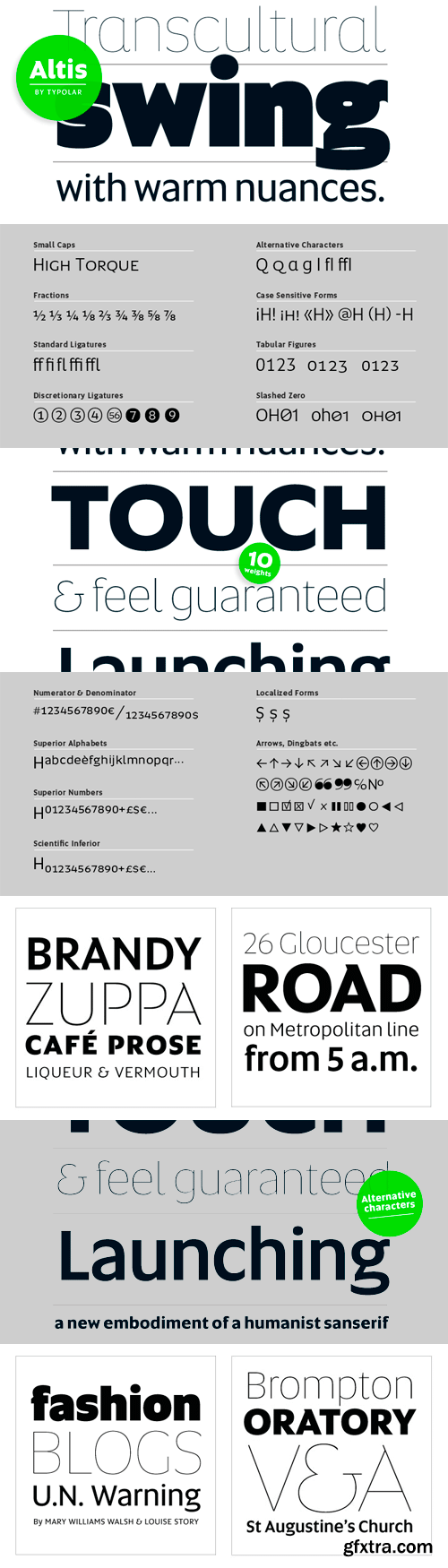 Altis Font Family - 10 Fonts for $392