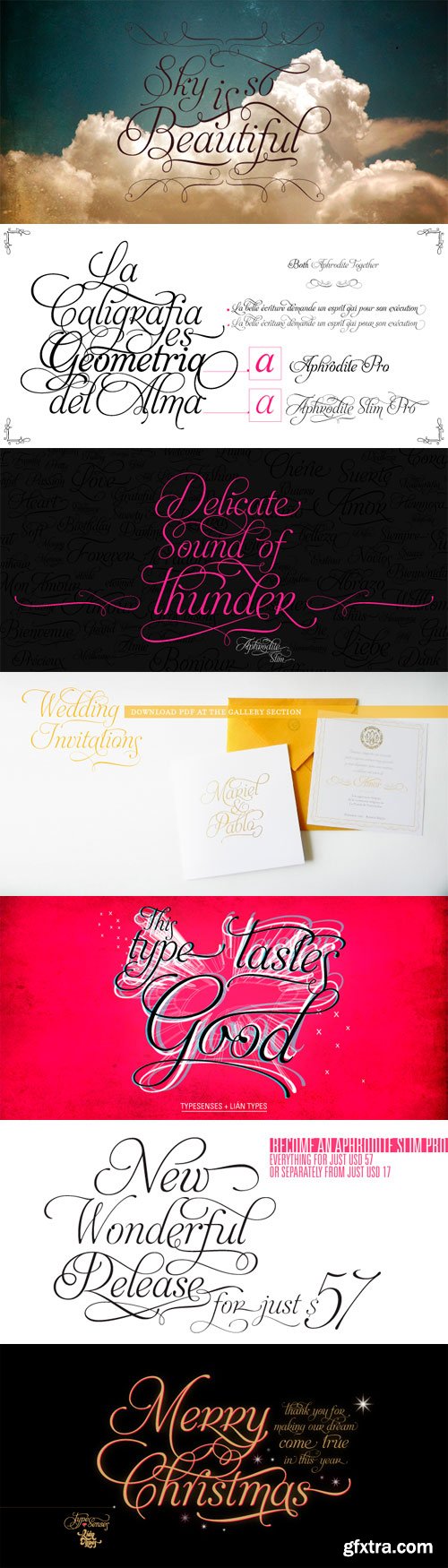 Aphrodite Slim Font Family - 5 Fonts for $125