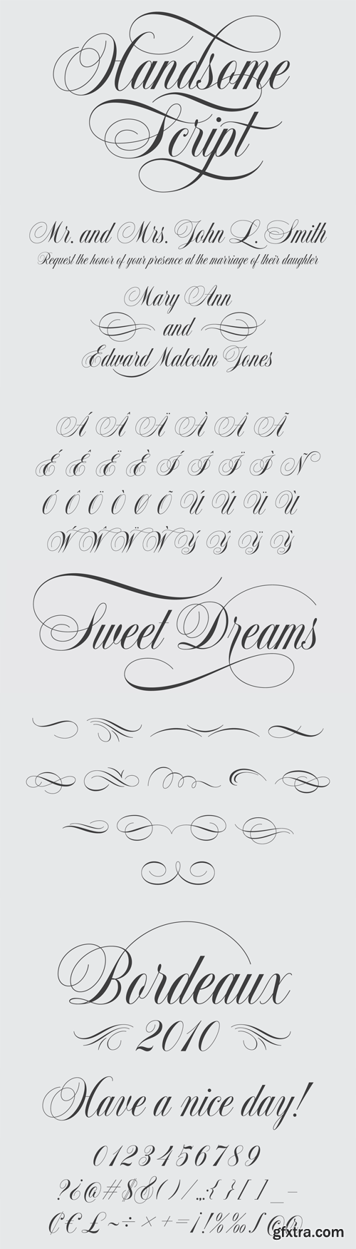 Handsome Script Font for $25