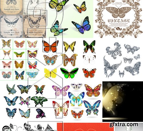 Stock Vectors - Butterfly 4, 25xEPS