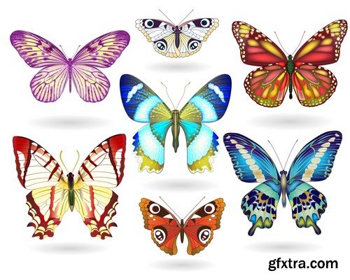 Stock Vectors - Butterfly 4, 25xEPS