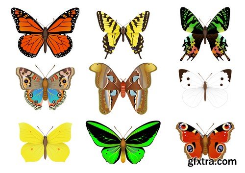 Stock Vectors - Butterfly 4, 25xEPS