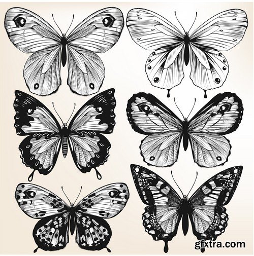 Stock Vectors - Butterfly 4, 25xEPS