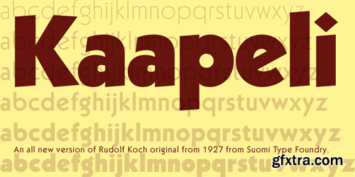 Kaapeli Font Family - 6 Fonts for $110