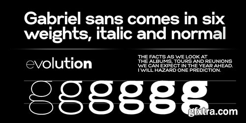 Gabriel Sans Font Family - 24 Font $960