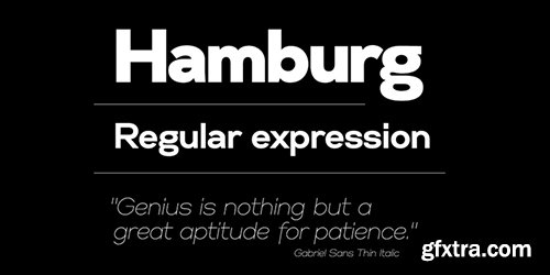 Gabriel Sans Font Family - 24 Font $960