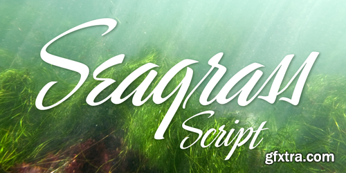 Seagrass BF Font for $39