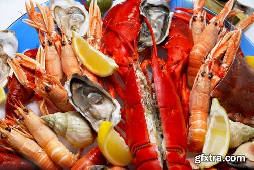 Collection of seafood dishes 25 UHQ Jpeg