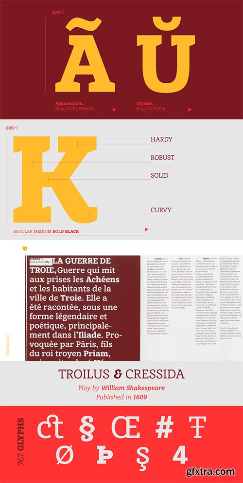 Achille FY Font Family - 12 Fonts $840[