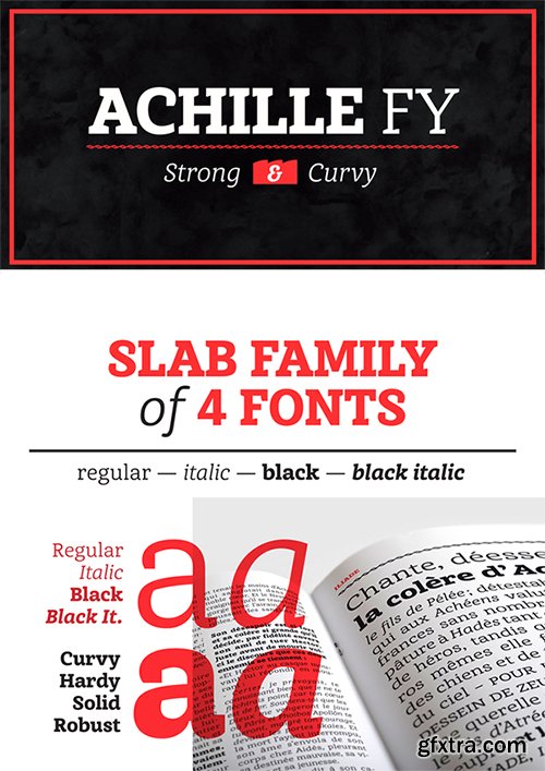 Achille FY Font Family - 12 Fonts $840[