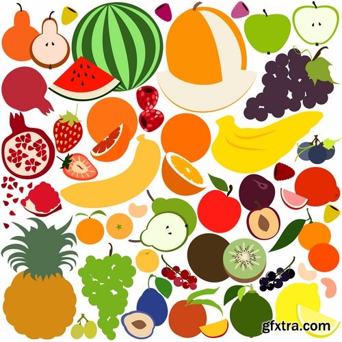 Collection of various food vector images 25 Eps