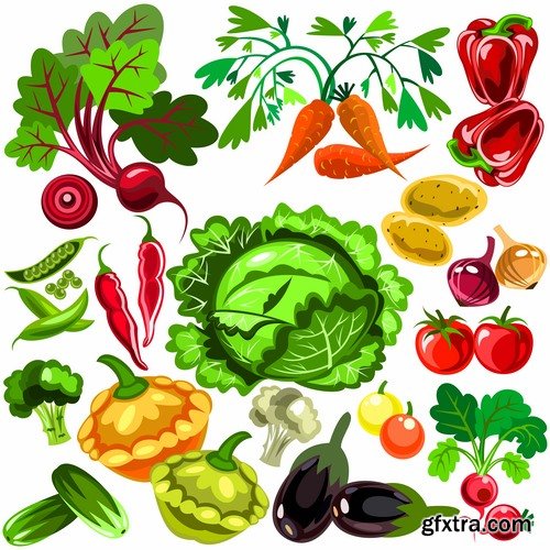 Collection of various food vector images 25 Eps